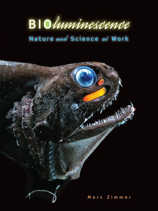 Title details for Bioluminescence by Marc Zimmer - Available